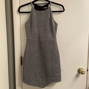 Express silver dress